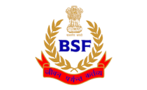 BSF (1) logo